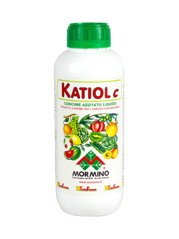 Katiol C - immagine 2