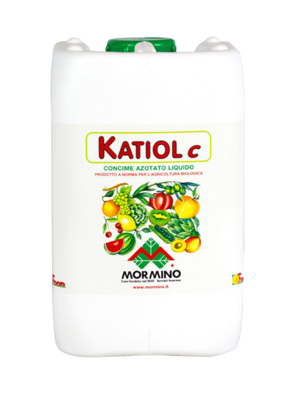 Katiol C - immagine 3